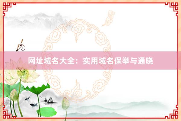 网址域名大全：实用域名保举与通晓