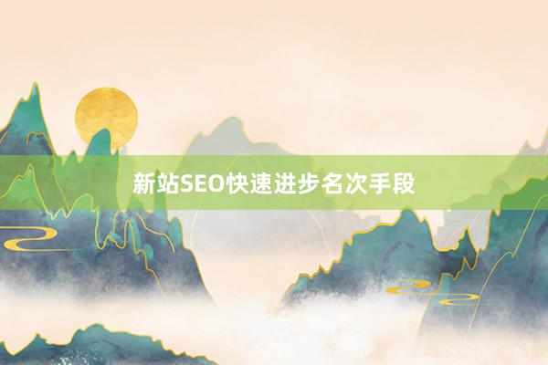 新站SEO快速进步名次手段