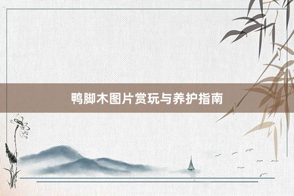 鸭脚木图片赏玩与养护指南