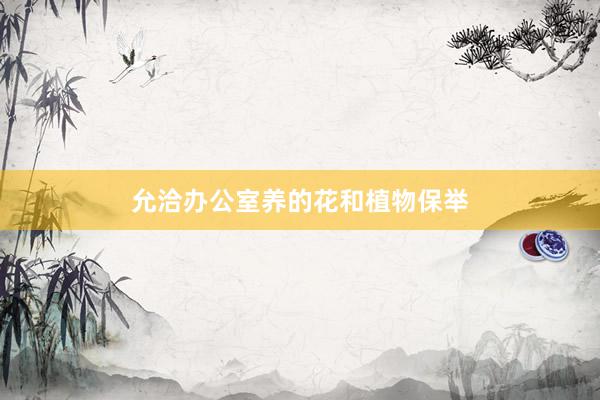 允洽办公室养的花和植物保举